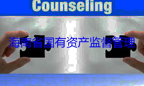 有福接受审查调查海南省国有资产监督管理委员会党委副书记王